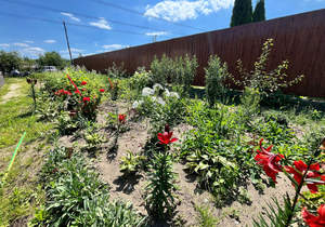 Дом 69м², 1-этажный, участок 6 сот.