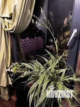 Дом 85м², 2-этажный, посуточно, 