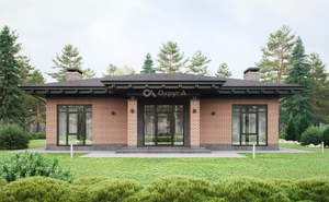 Дом 155м&sup2;, 1-этажный, участок 8 сот.  