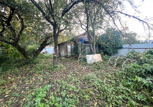 Дом 71м², 1-этажный, участок 4 сот.  