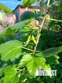 Дом 70м², 2-этажный, участок 5 сот.  