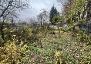 Дом 50м&sup2;, 1-этажный, участок 5 сот.  