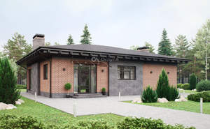 Дом 155м&sup2;, 1-этажный, участок 8 сот.  