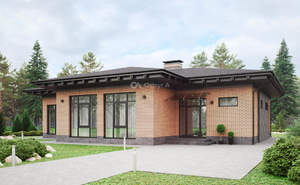 Дом 215м&sup2;, 1-этажный, участок 8 сот.  