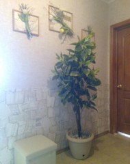 Фото комнаты в аренду (5)