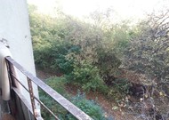 Фото комнаты на продажу (3)