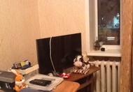 Фото комнаты на продажу (3)