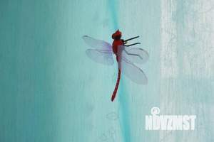 1-к квартира, посуточно, 15м2, 1/1 этаж