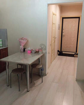 1-к квартира, вторичка, 49м2, 1/17 этаж