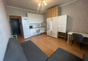 Студия квартира, вторичка, 20м2, 10/17 этаж