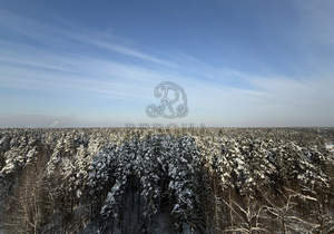 2-к квартира, вторичка, 55м2, 11/17 этаж