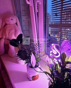 Студия квартира, вторичка, 24м2, 12/12 этаж